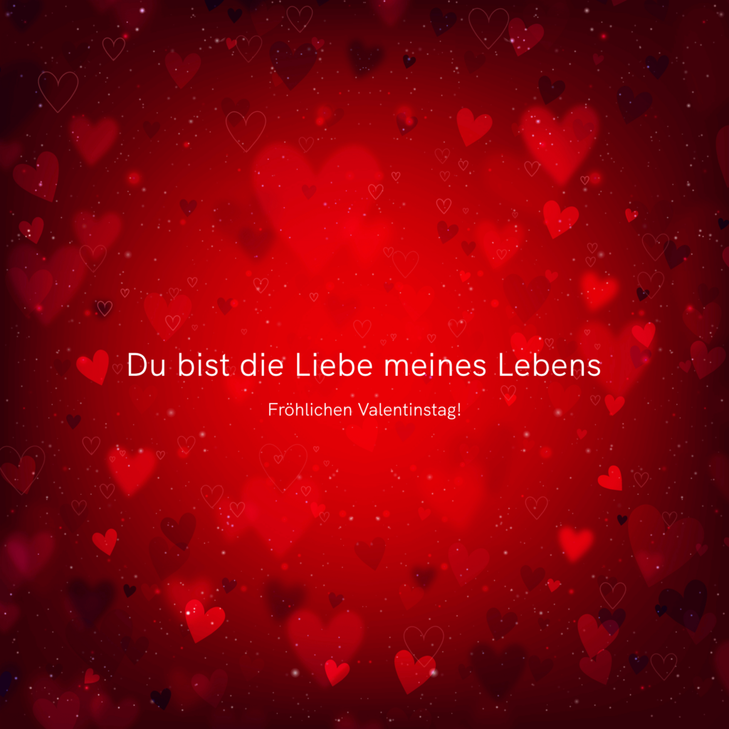 Die Liebe meines Lebens