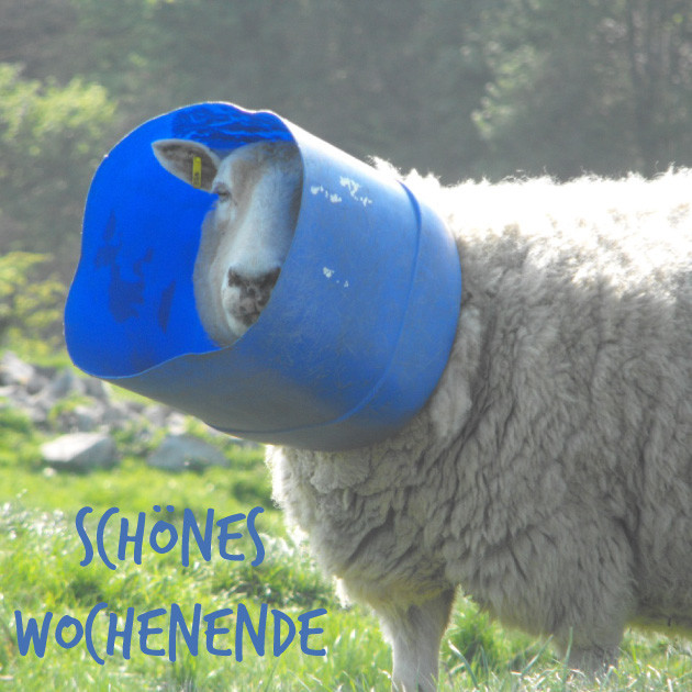 Schones Wochenende Grusse Wunderbare Bilder